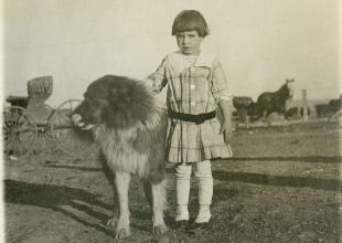 Small girl standing next to large fluffy dog. Farm equipment and animals in background.
