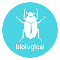 Weed Control - Biological