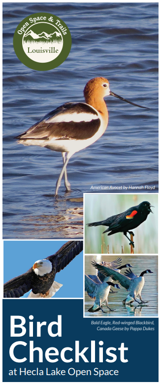 Bird Checklist at Hecla Lake Brochure Cover 