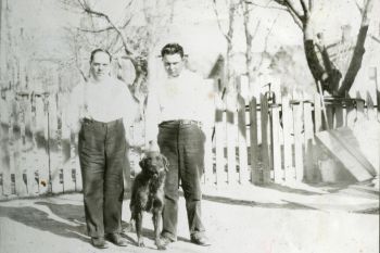 Dog Days exhibit photo