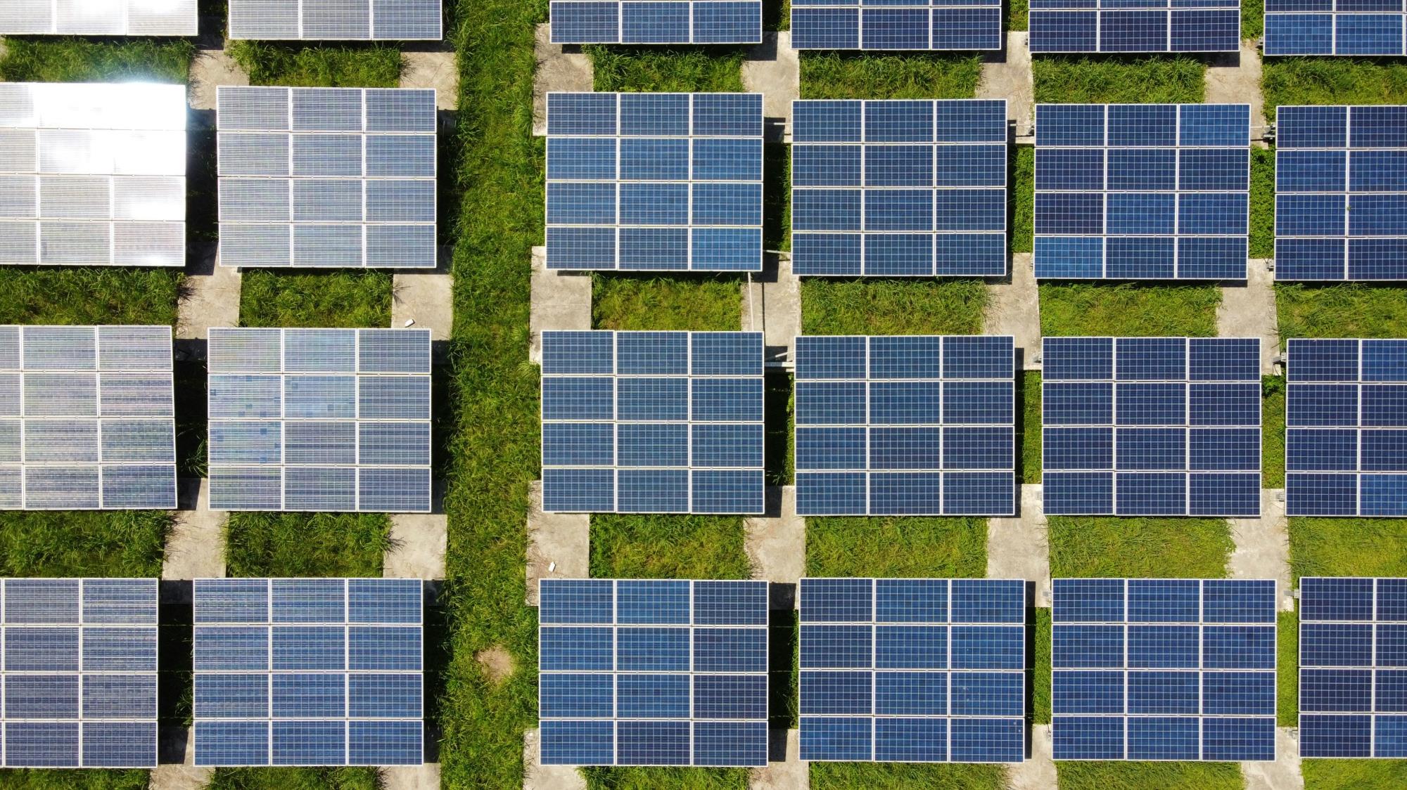 Birds' eye view of ground-mounted solar panels in a field.