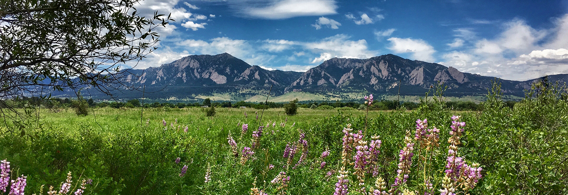 View of Rocky Mountains from Louisville, Colorado.