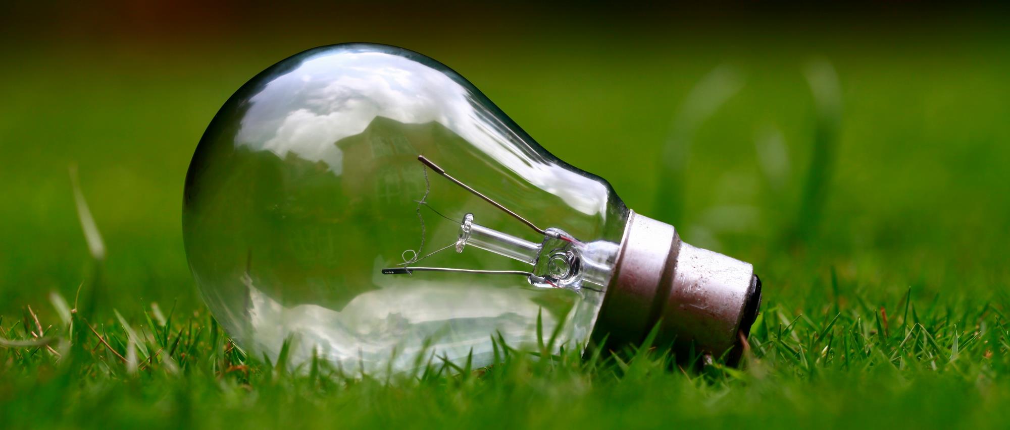 Light bulb lying down horizontally in the grass.
