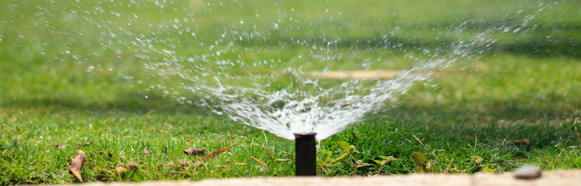 Sprinkler head spraying the surrounding lawn.