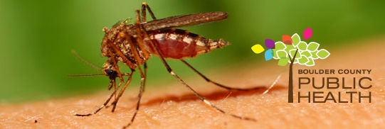 mosquito and Boulder County Public Health Logo